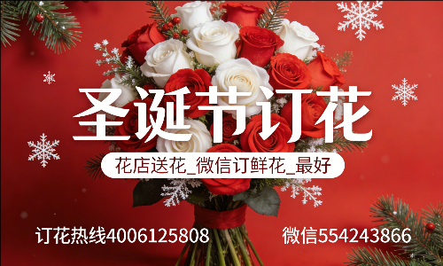 ���ݰ���������