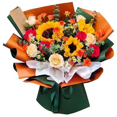 ���ݰ���������